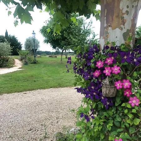 à 20 Min Des Cures Thermales De La Roche Posay - Casino Appartement
