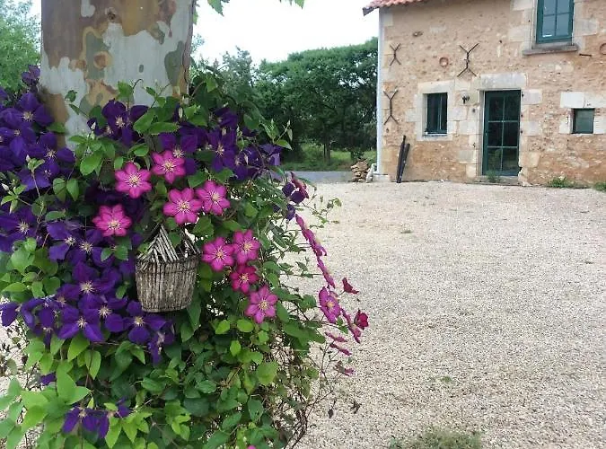 Apartamento A 20 Min Des Cures Thermales De La Roche Posay - Casino Archigny