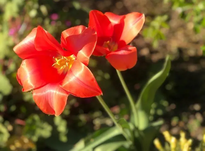 Apartamento A 20 Min Des Cures Thermales De La Roche Posay - Casino